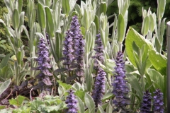 Bloemen-128