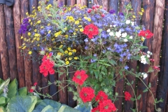 Bloemen-214