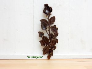 012* Bronzen roos 5 knoppen - Afbeelding 3