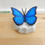003* Bronzen blauwe morphovlinder op steen