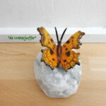025* Bronzen gehakkelde aurelia op steen
